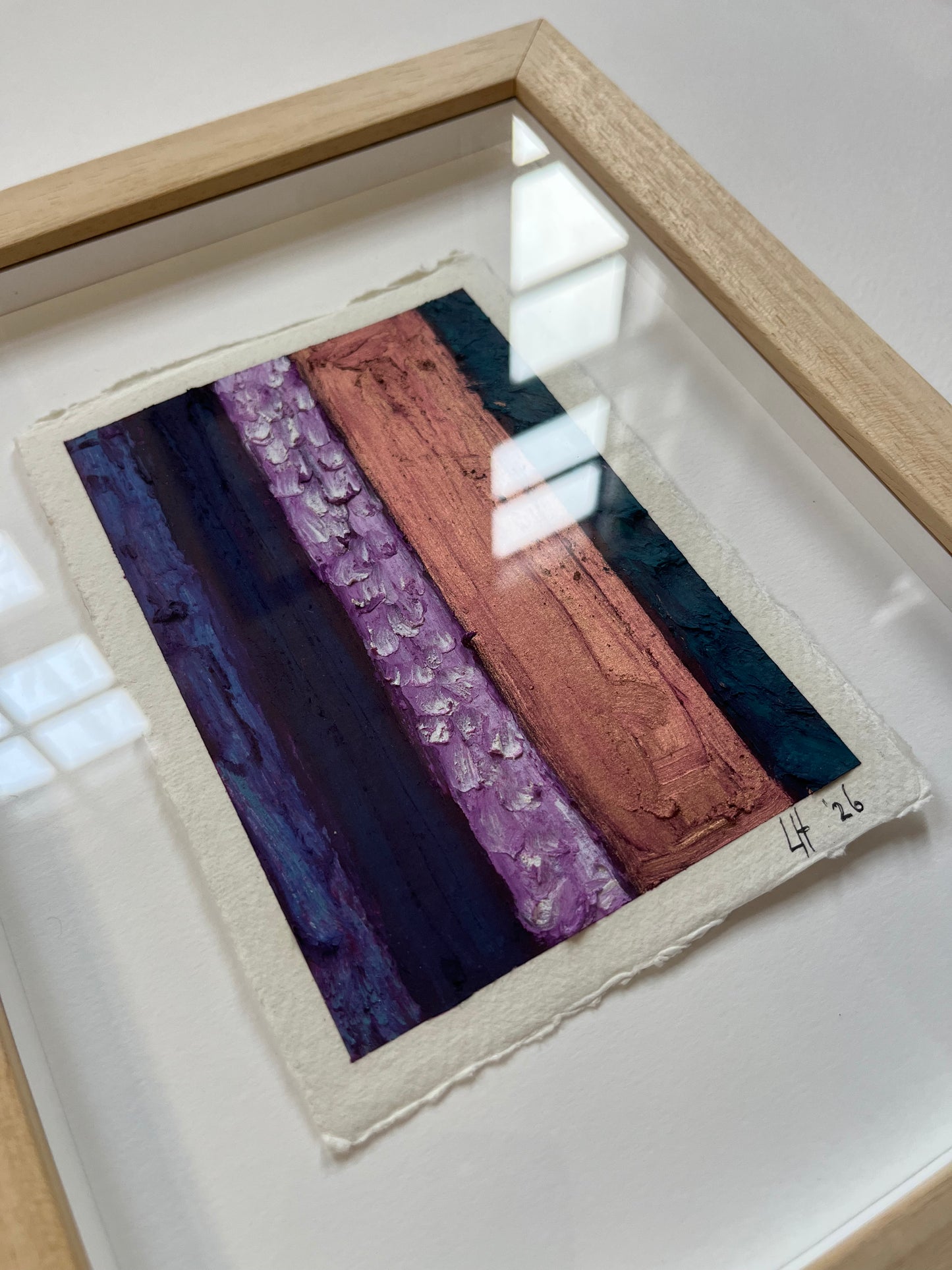 Color Memory | Texture of Shadow, 2026